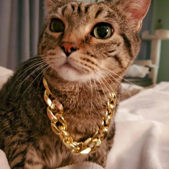 🎉HP🎉Cat Necklaces/ Collars - Picture 3 of 9